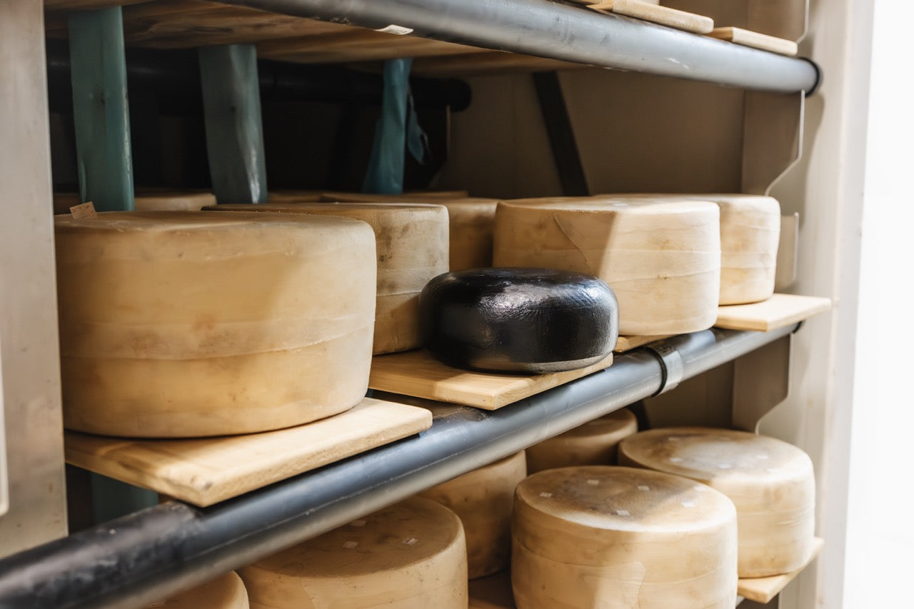 Contact Glengarry Fine Cheese Cheesemakers in Ontario, Canada